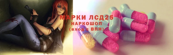 гашик Арсеньев