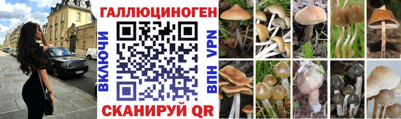 Галлюциногенные грибы прущие грибы  кракен как войти  Заполярный 